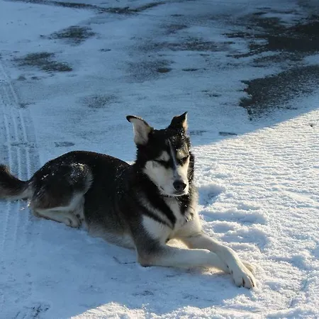 Daire Am Deich Tumlauer Koog