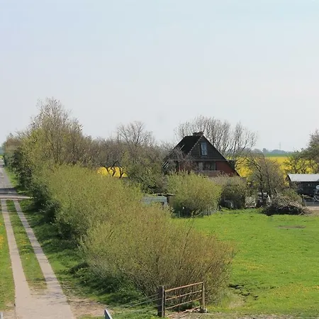 Am Deich Daire Tumlauer Koog