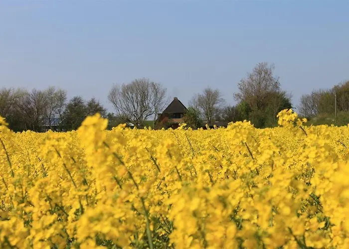 Appartement Am Deich *