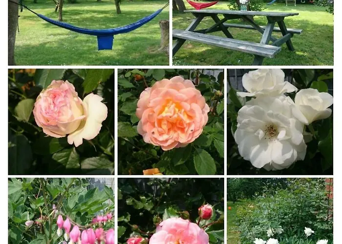 Am Deich * Tumlauer Koog