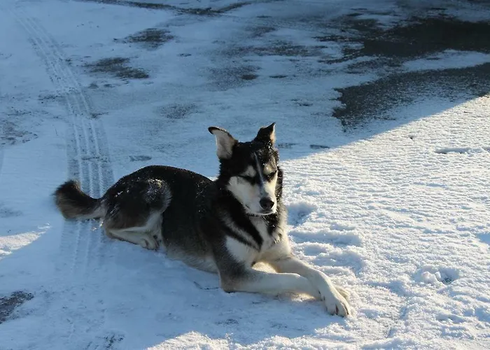 Appartement Am Deich Tumlauer Koog
